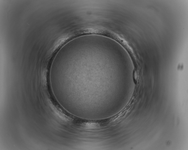 X0000097500154200802221452