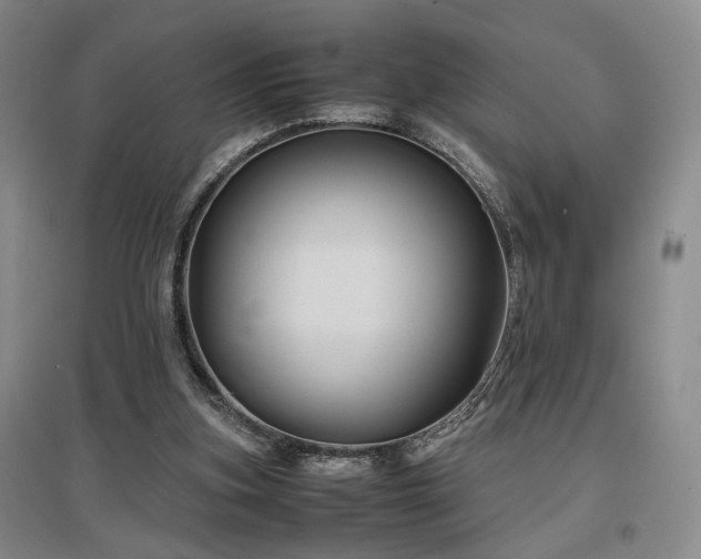 X0000097500155200802221452