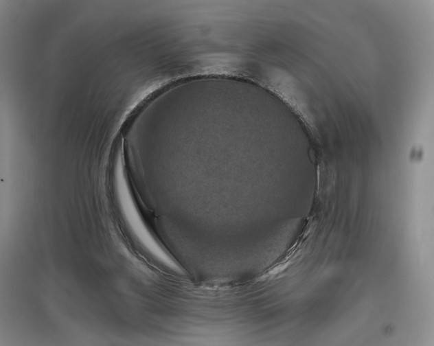 X0000097500156200802221452