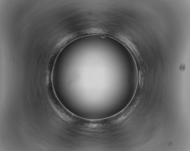 X0000097500157200802221452