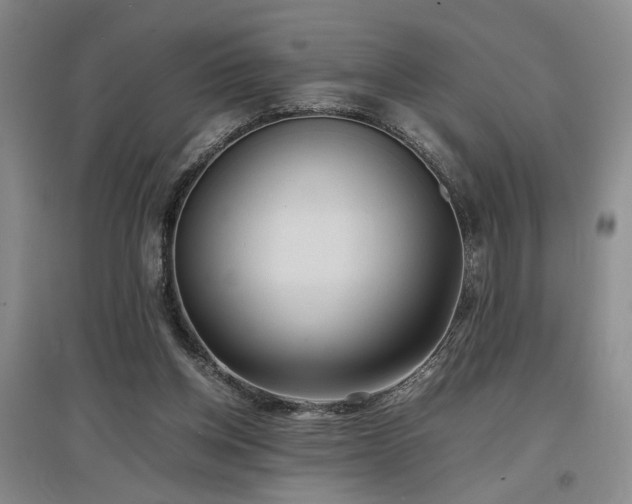 X0000097500158200802221452