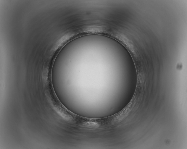 X0000097500159200802221452