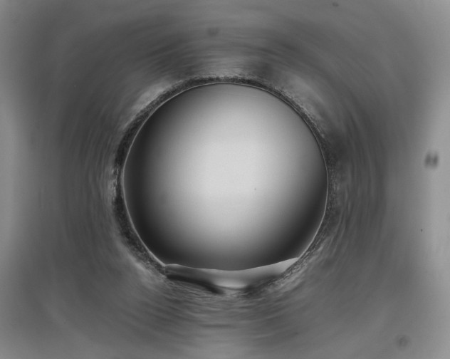 X0000097500160200802221452