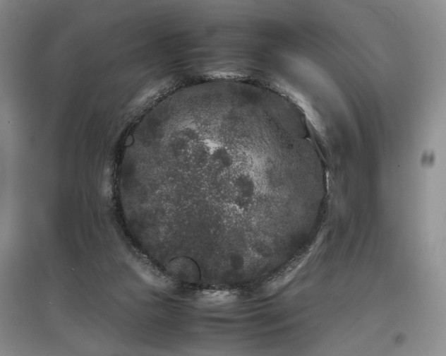 X0000097500161200802221452