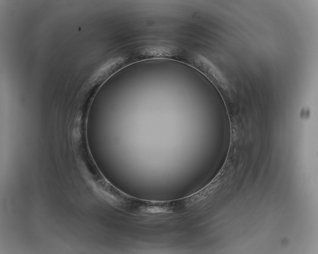 X0000097500163200802221452