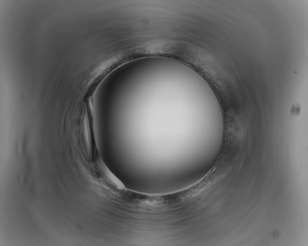 X0000097500164200802221452