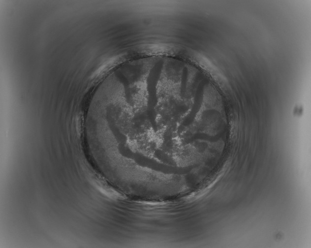 X0000097500165200802221452