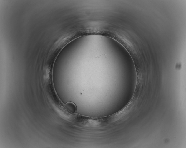 X0000097500166200802221452
