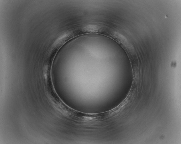 X0000097500167200802221452