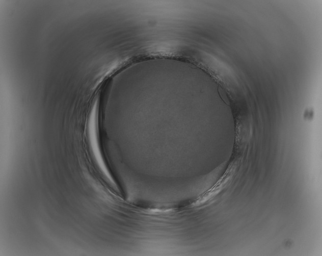 X0000097500168200802221452