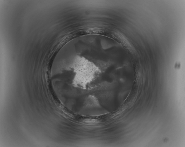 X0000097500169200802221452