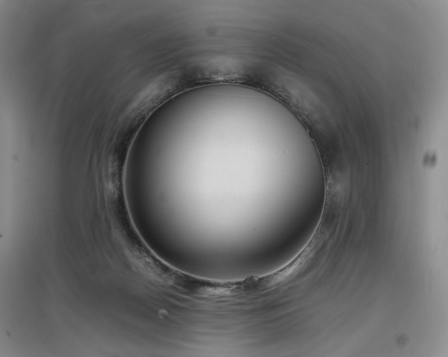 X0000097500170200802221452