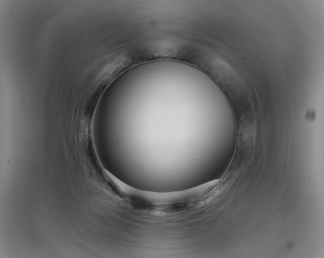 X0000097500172200802221452