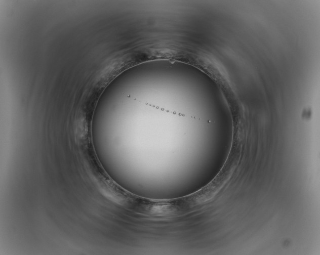 X0000097500173200802221452