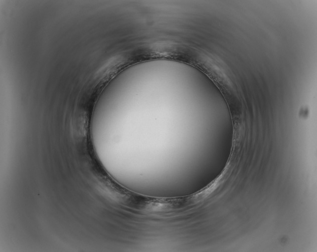X0000097500174200802221452