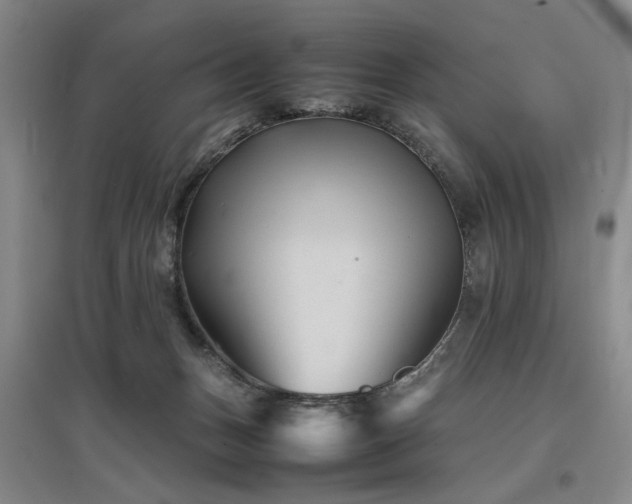 X0000097500175200802221452