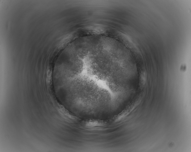 X0000097500177200802221452
