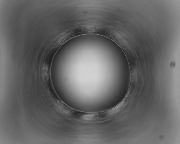 X0000097500178200802221452