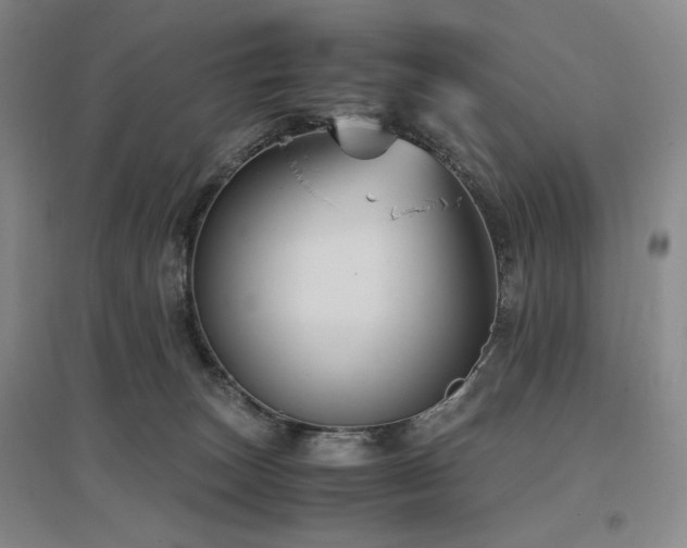 X0000097500179200802221452