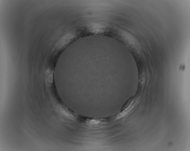 X0000097500180200802221452
