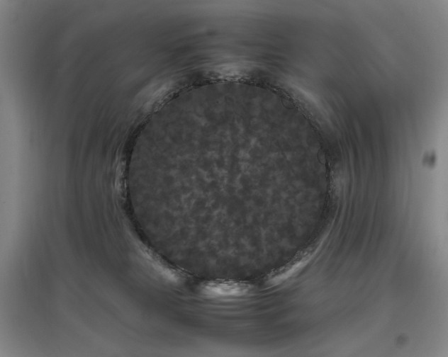 X0000097500181200802221452