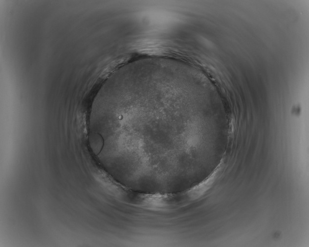 X0000097500182200802221452