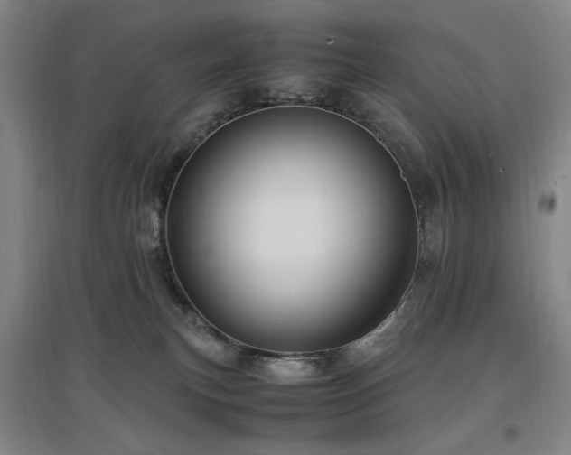 X0000097500183200802221452