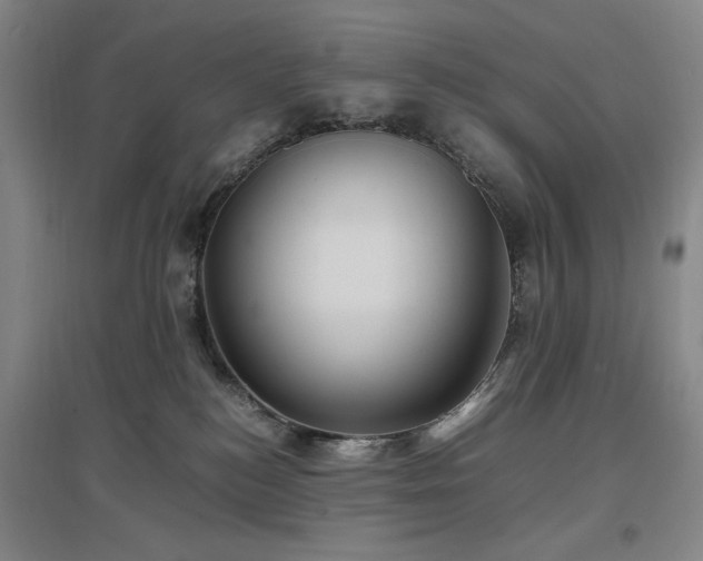 X0000097500184200802221452