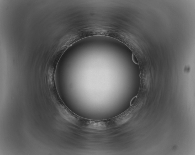 X0000097500185200802221452