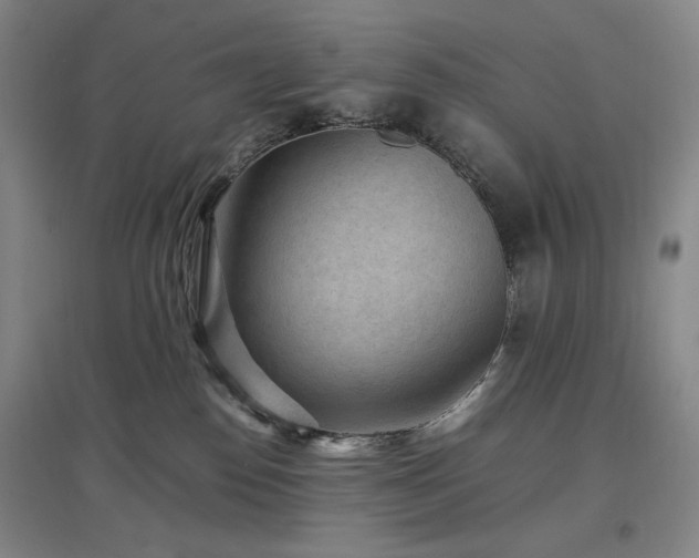 X0000097500186200802221452