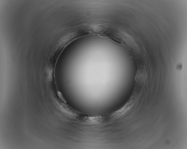 X0000097500188200802221452