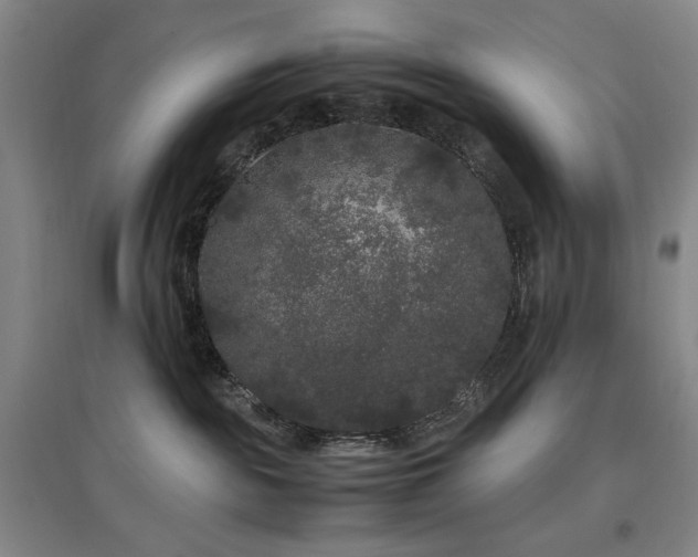 X0000097500189200802221452