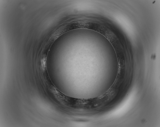 X0000097500190200802221452