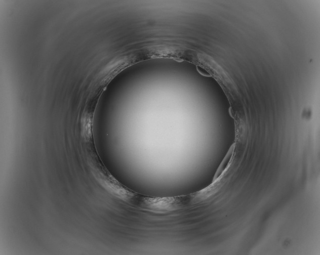 X0000097500191200802221452