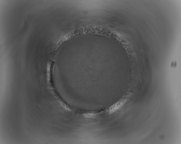X0000097500192200802221453