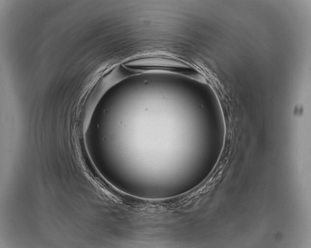 X0000097500193200802221452