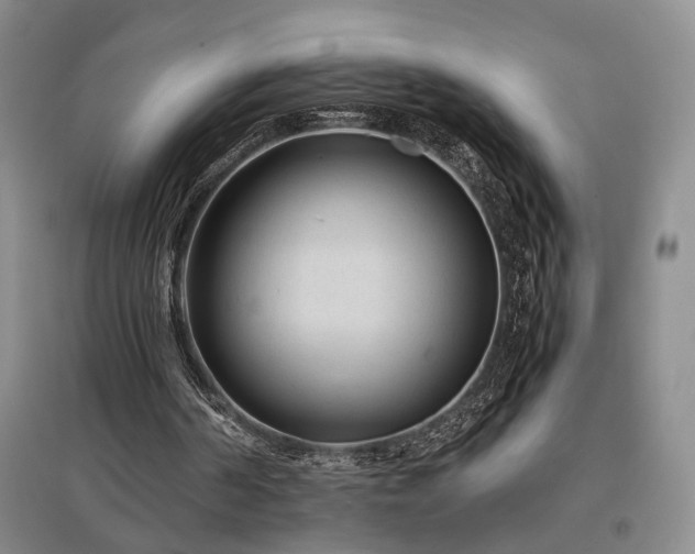X0000097500194200802221452