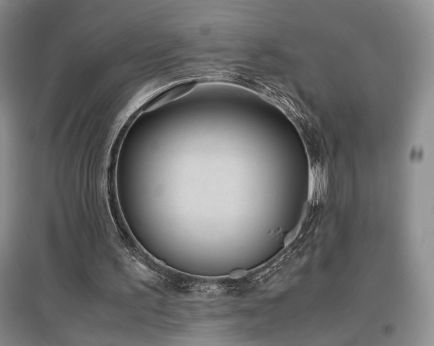 X0000097500195200802221452