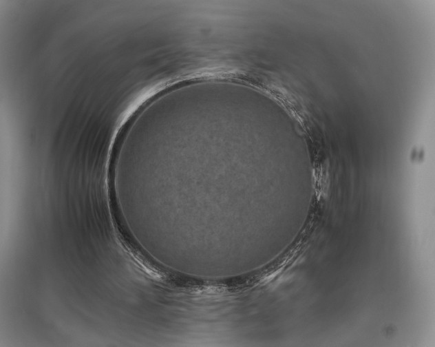 X0000097500196200802221452