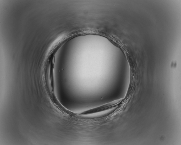 X0000097500197200802221452