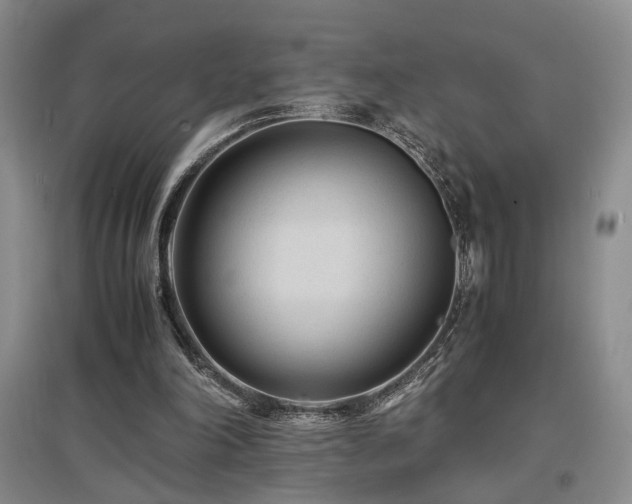 X0000097500198200802221452