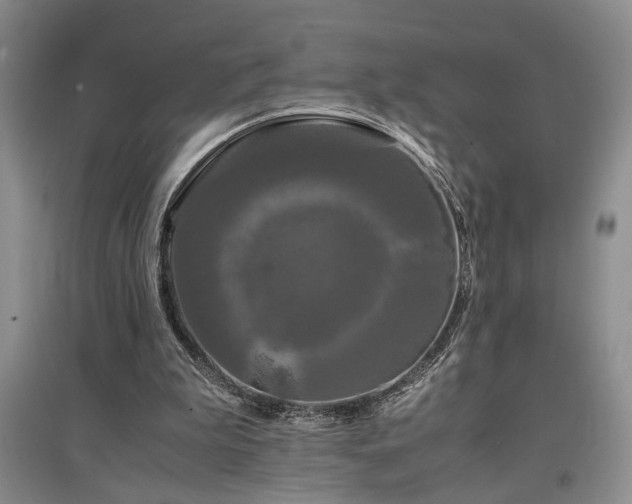 X0000097500199200802221452