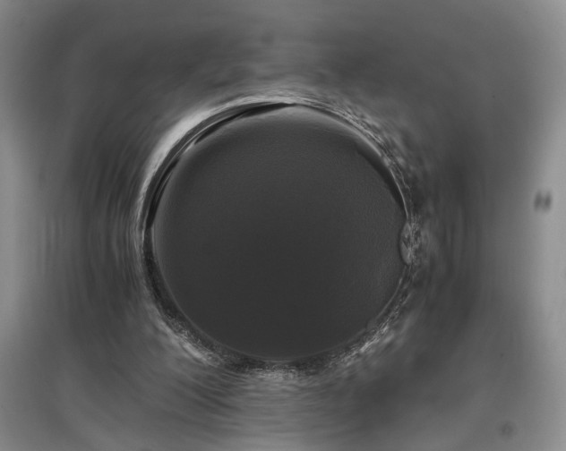 X0000097500200200802221452