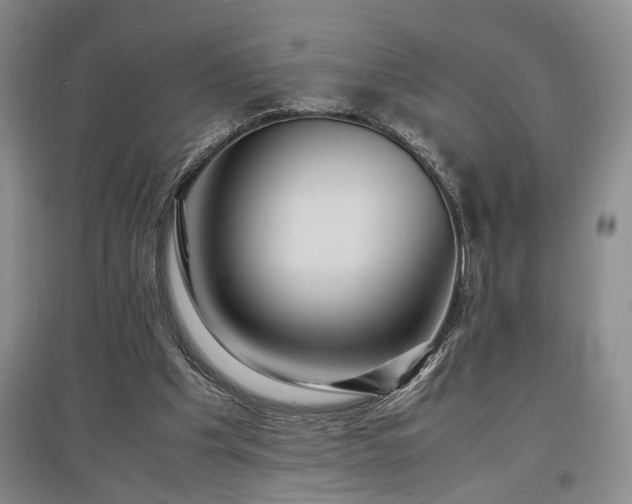 X0000097500201200802221452