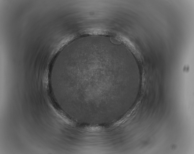 X0000097500202200802221452