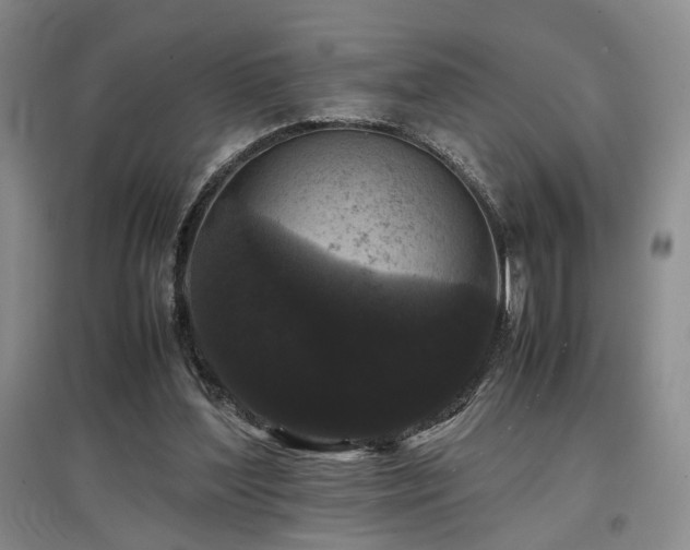 X0000097500204200802221452
