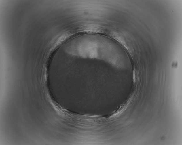 X0000097500205200802221452