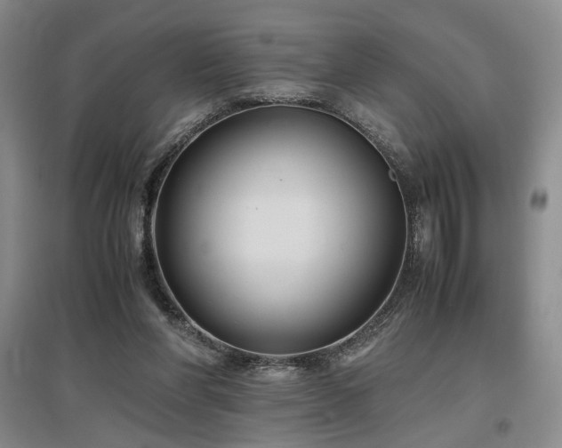 X0000097500206200802221452