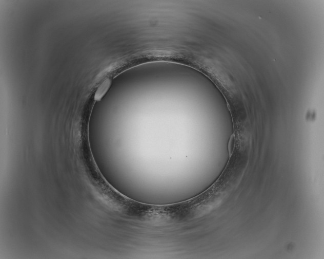 X0000097500207200802221451