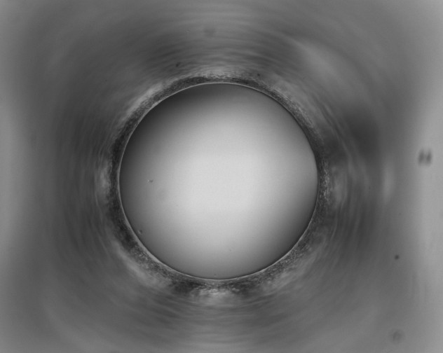 X0000097500208200802221451